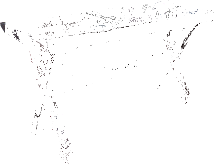 X-Foot-Server