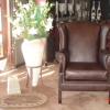The-Manfredo-Wingback-16