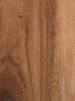 Rhodesian-Teak-sanded